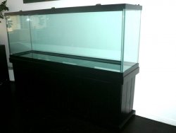 150 gallon aquarium2.jpg