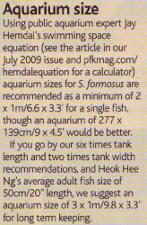 practical fishkeeping article2.jpg