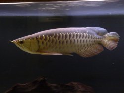 07012007816.jpg