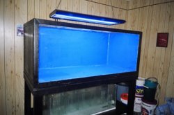 my plywood tank2.JPG