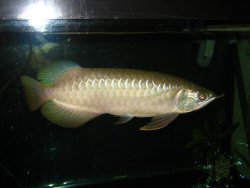 IMG_2785.JPG
