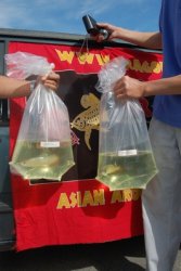 Dragonfish Canada Order July 17,2008 070.JPG