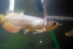 DSC_0012a.jpg