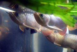 DSC_0022a.jpg
