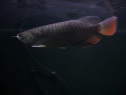 xback 083.JPG