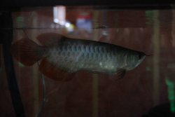 DSC_1588.JPG