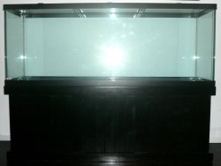 150 gallon aquarium1.jpg