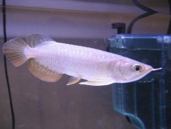 IMG_0398.jpg