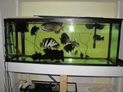 IMG_1189.jpg