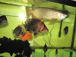 IMG_1187.jpg