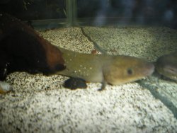 IMGP0012.jpg