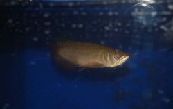 January 2009 084.jpg
