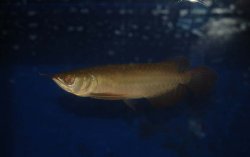 January 2009 086.jpg