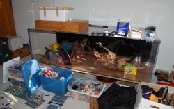 January 2009 068.jpg