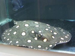 IMG_6284.JPG