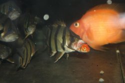 IMG_6528.jpg