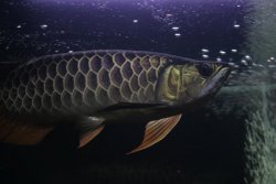 IMG_9674.jpg