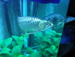feeder1.jpg
