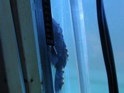 IMG_1285.jpg