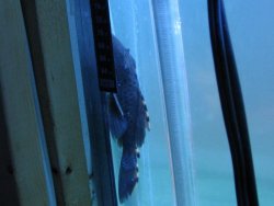 IMG_1286.jpg