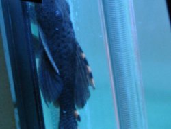 IMG_1288.jpg