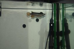 IMG_6968.jpg