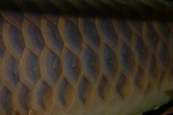03172010 031.jpg