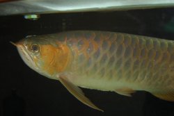 03172010 032.jpg
