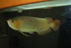 03172010 033.jpg