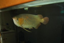 03172010 034.jpg