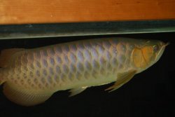 03172010 037.jpg