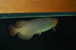 03172010 038.jpg