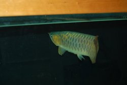 03172010 039.jpg