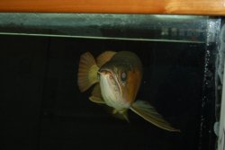 03172010 040.jpg