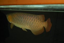 03172010 042.jpg