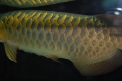 03172010 043.jpg