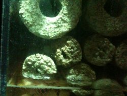 IMG_0178.jpg