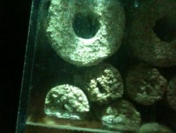 IMG_0179.jpg