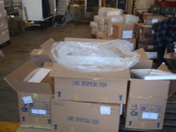 aro shipment March 2010.jpg