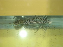 IMG_1530.jpg