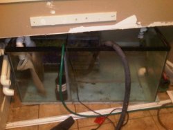 sump.jpg