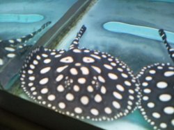 Photo2012.jpg
