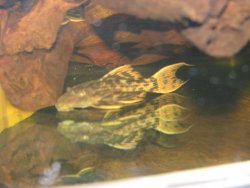 IMG_1807.jpg