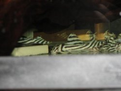 DSC00112.jpg
