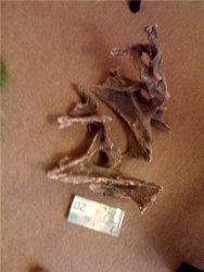 wood-2p.jpg