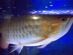 100_0197.jpg