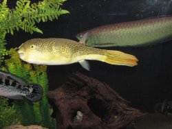 mini-IMG_0045.JPG