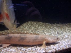 100_0827.jpg