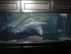 IMG_0236.jpg