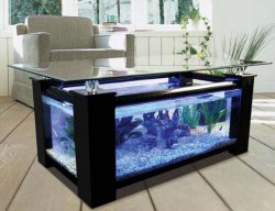 aquarium-l-shaped-coffee-table-black-color.jpg